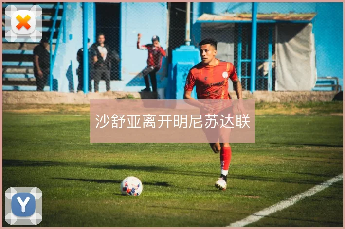 沙舒亚离开明尼苏达联