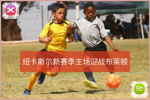 纽卡斯尔新赛季主场迎战布莱顿