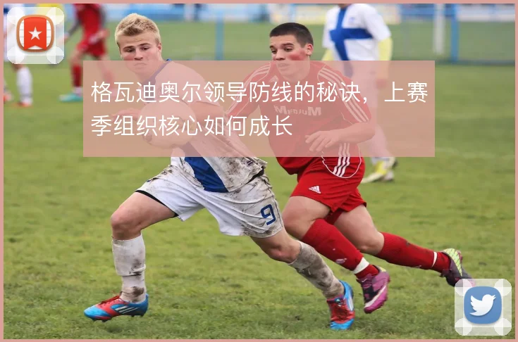 格瓦迪奥尔领导防线的秘诀，上赛季组织核心如何成长