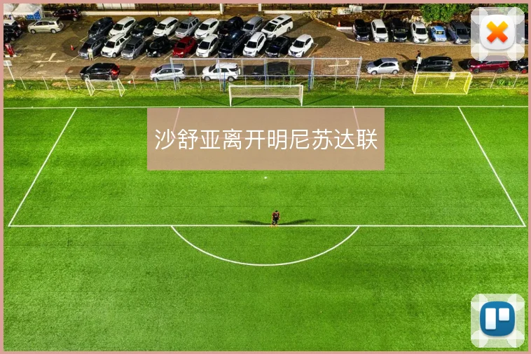 沙舒亚离开明尼苏达联